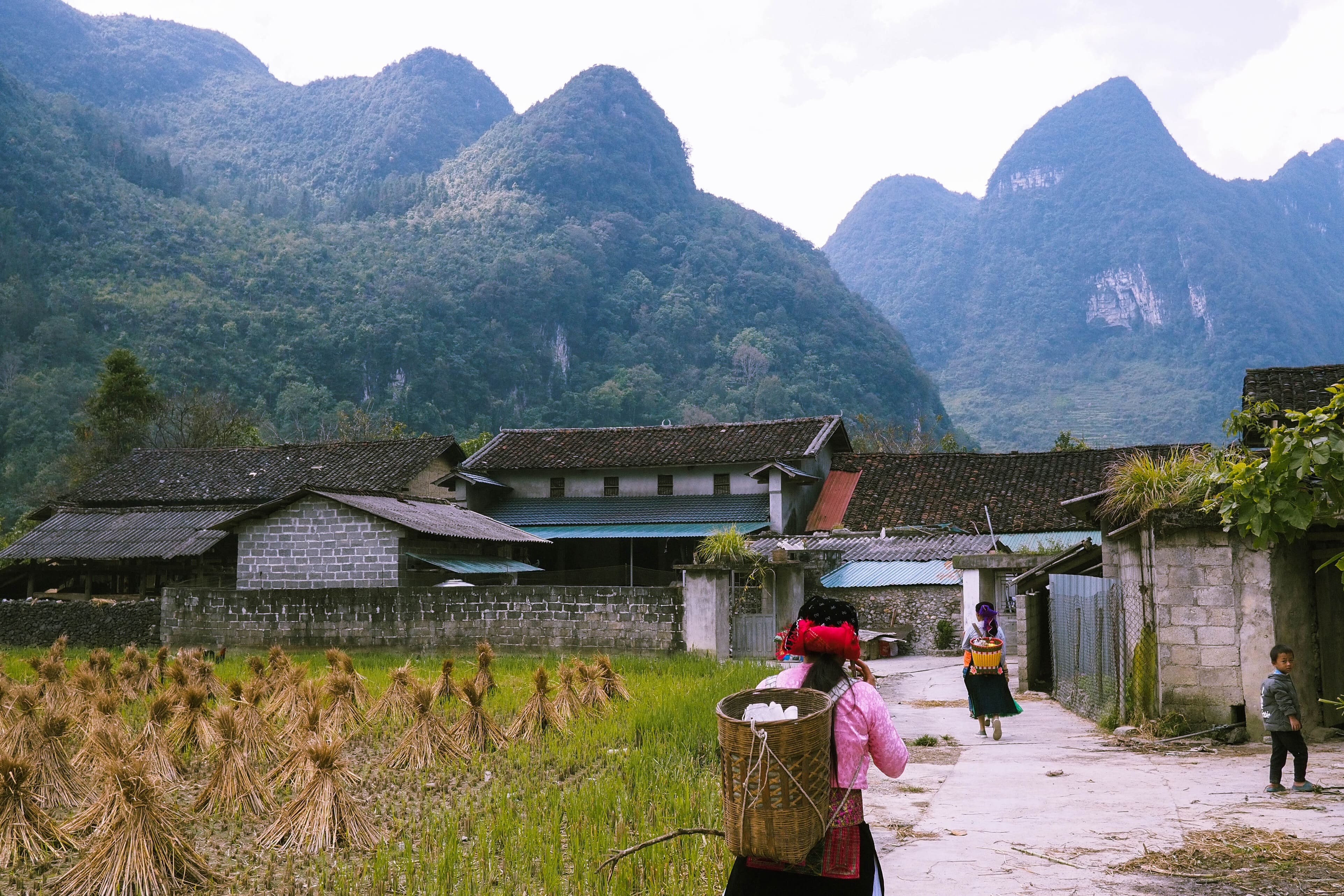 Ha Giang Scenery 5