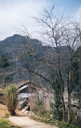 Weather in Ha Giang 1