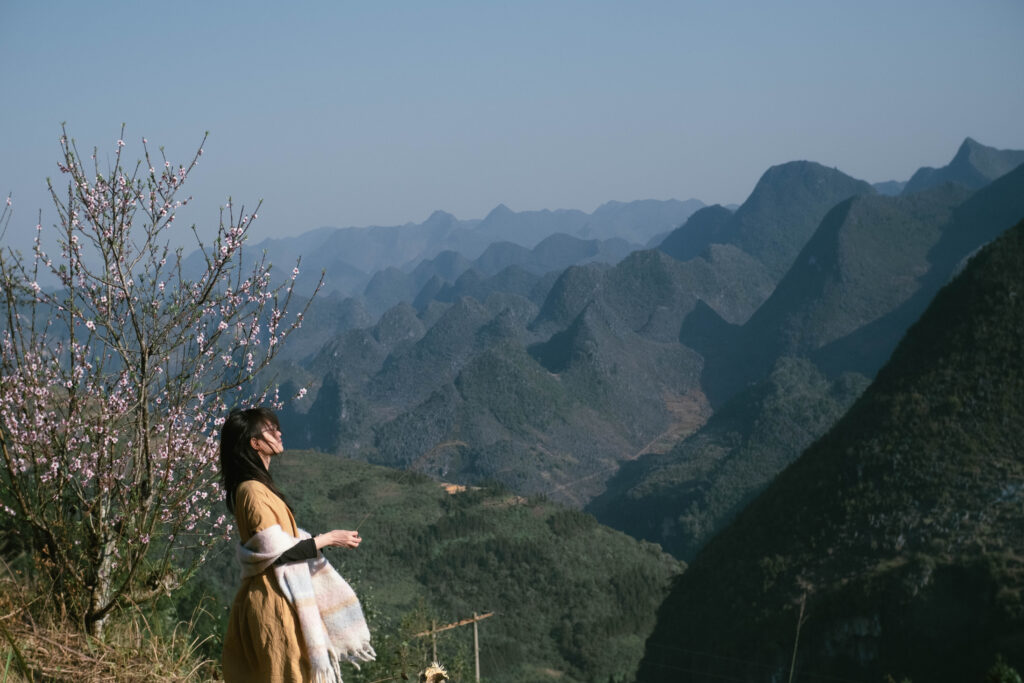 Sắc hồng mộc mạc của hoa đào đá mùa xuân Hà Giang