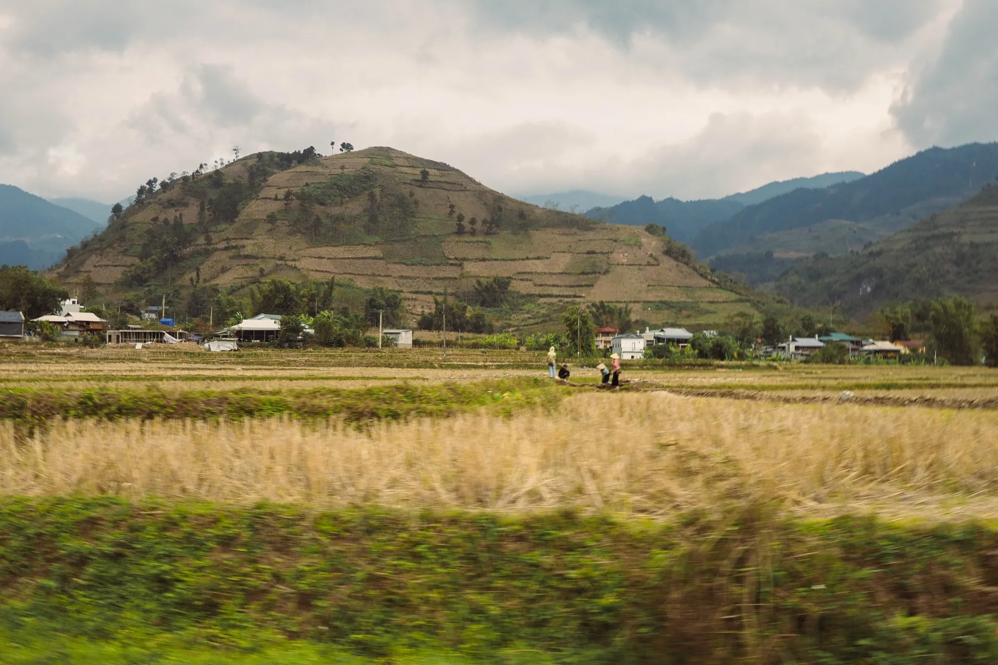 Mu Cang Chai photo 1