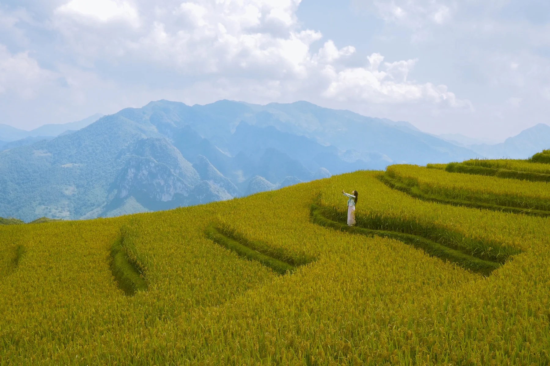 Tháng 8 – Tháng 9