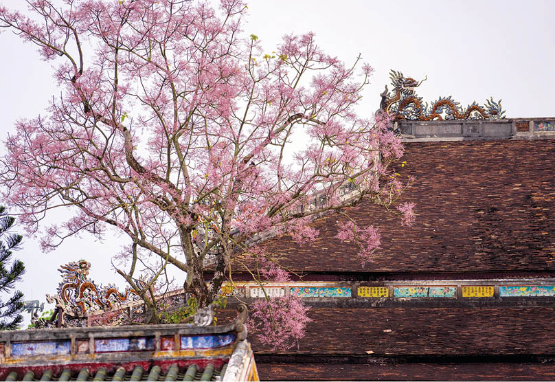 Spring (Feb - early May)