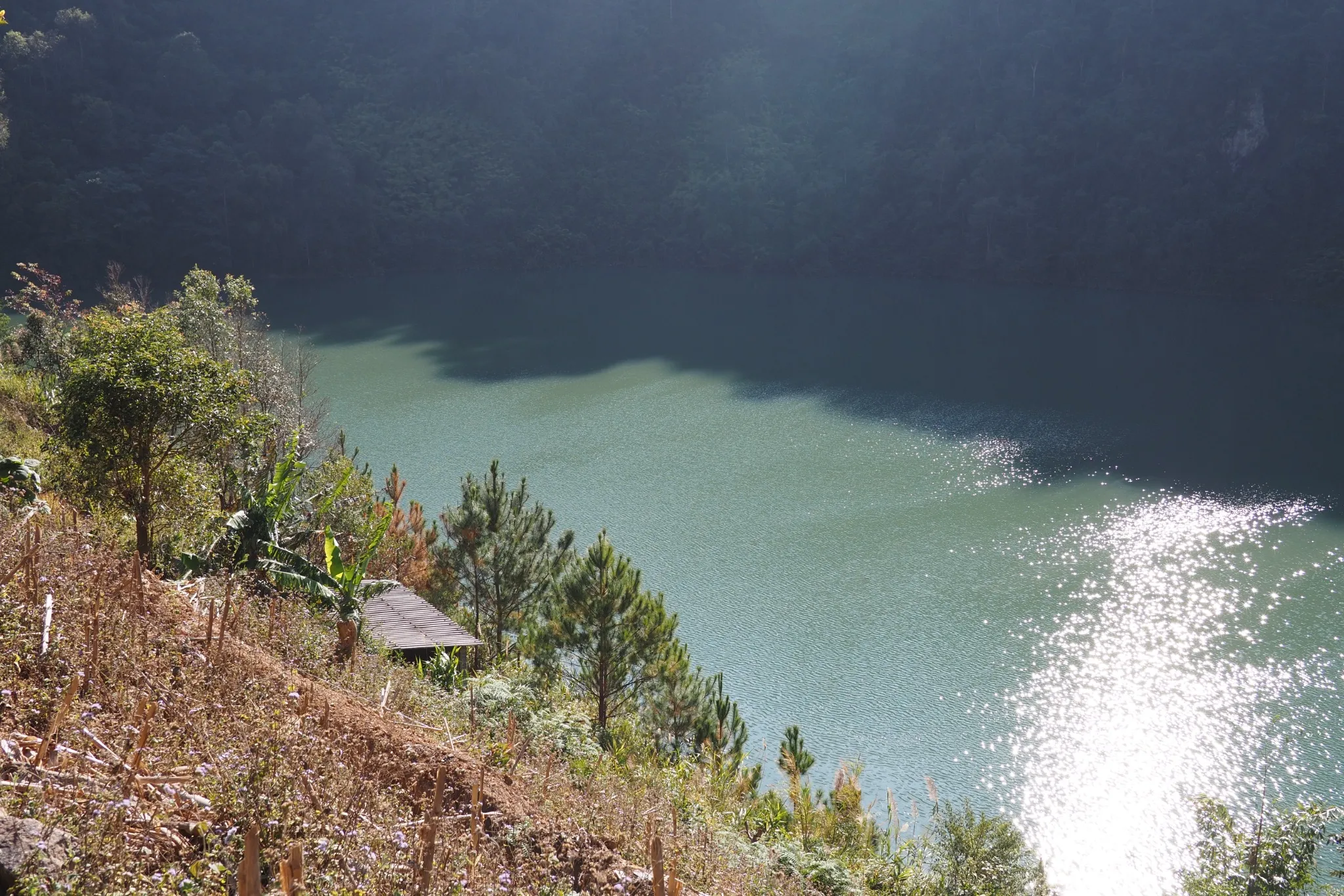 Mu Cang Chai photo 4