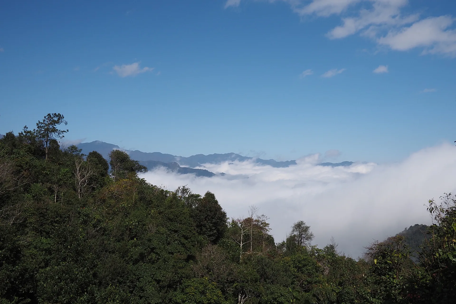Mu Cang Chai photo 3