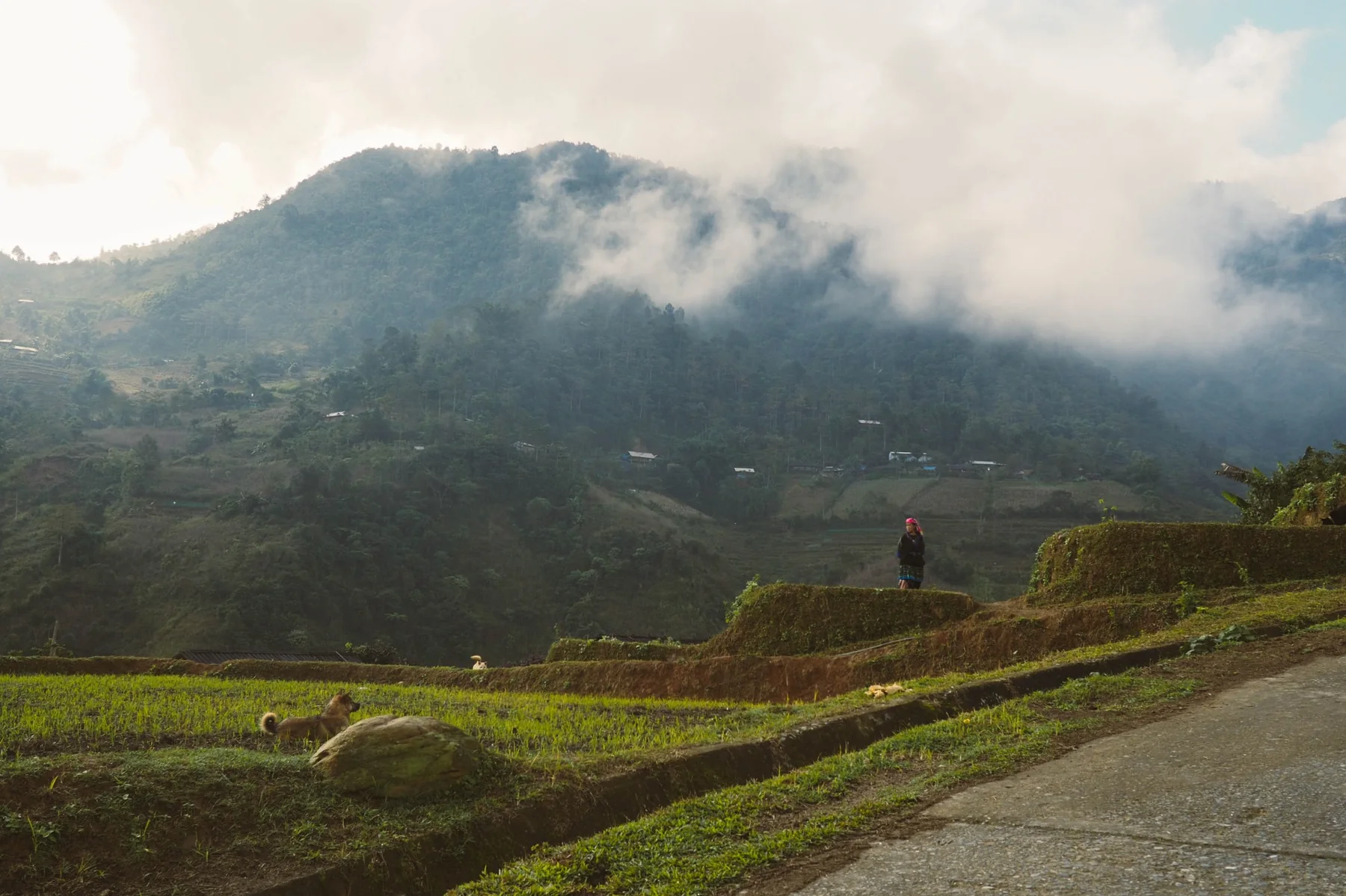 Mu Cang Chai