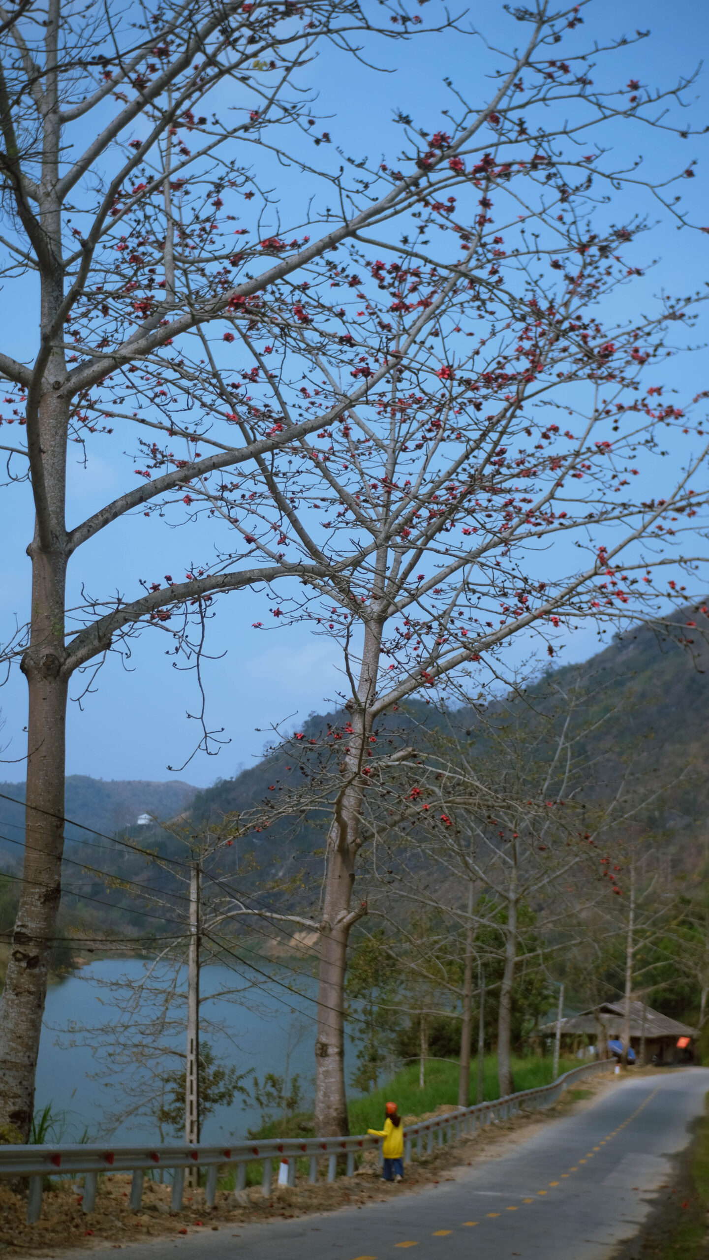Mùa xuân (tháng 2 - tháng 5)