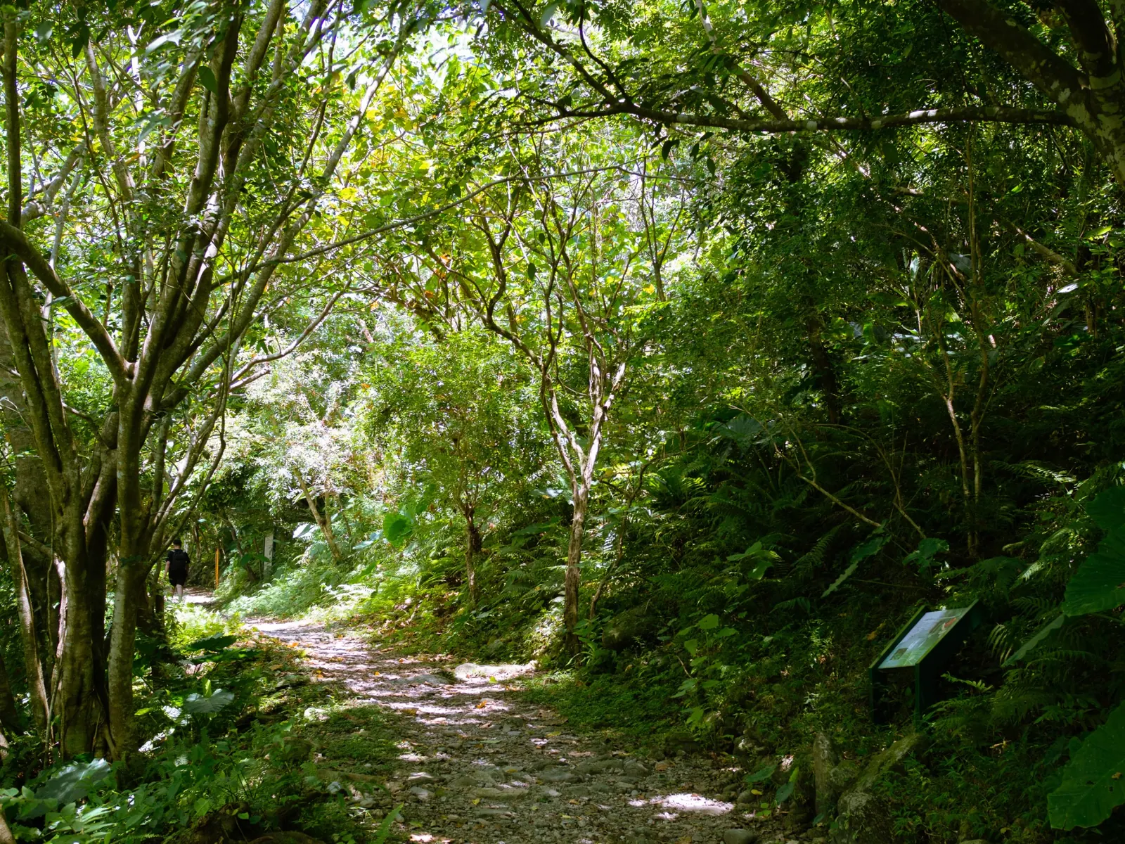 Taroko National Park