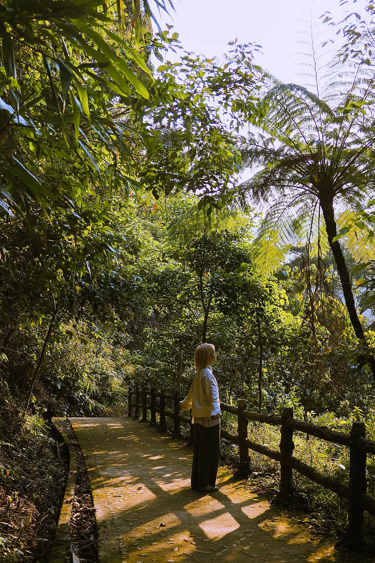 Anor Waterfall