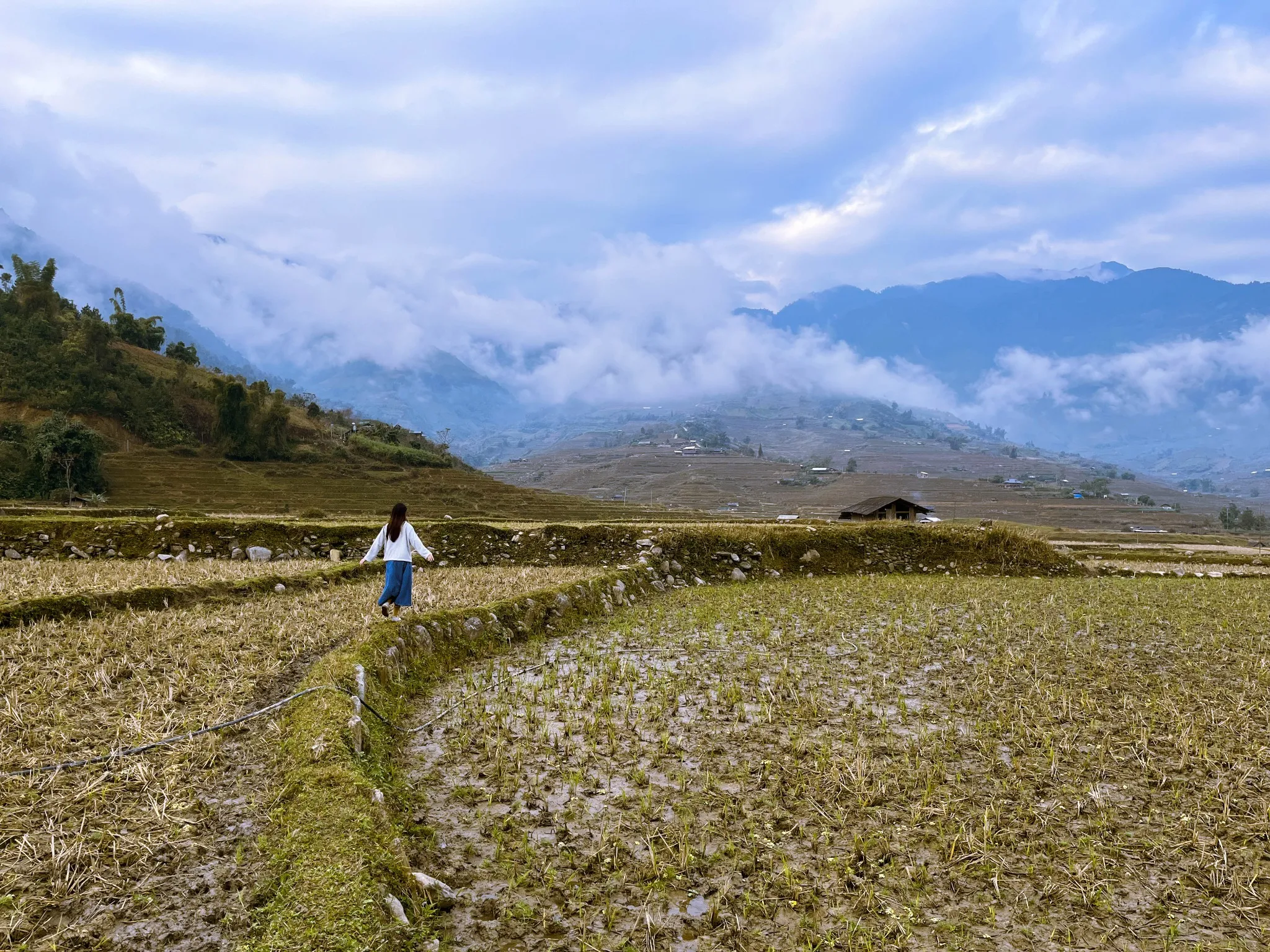 Tú Lệ