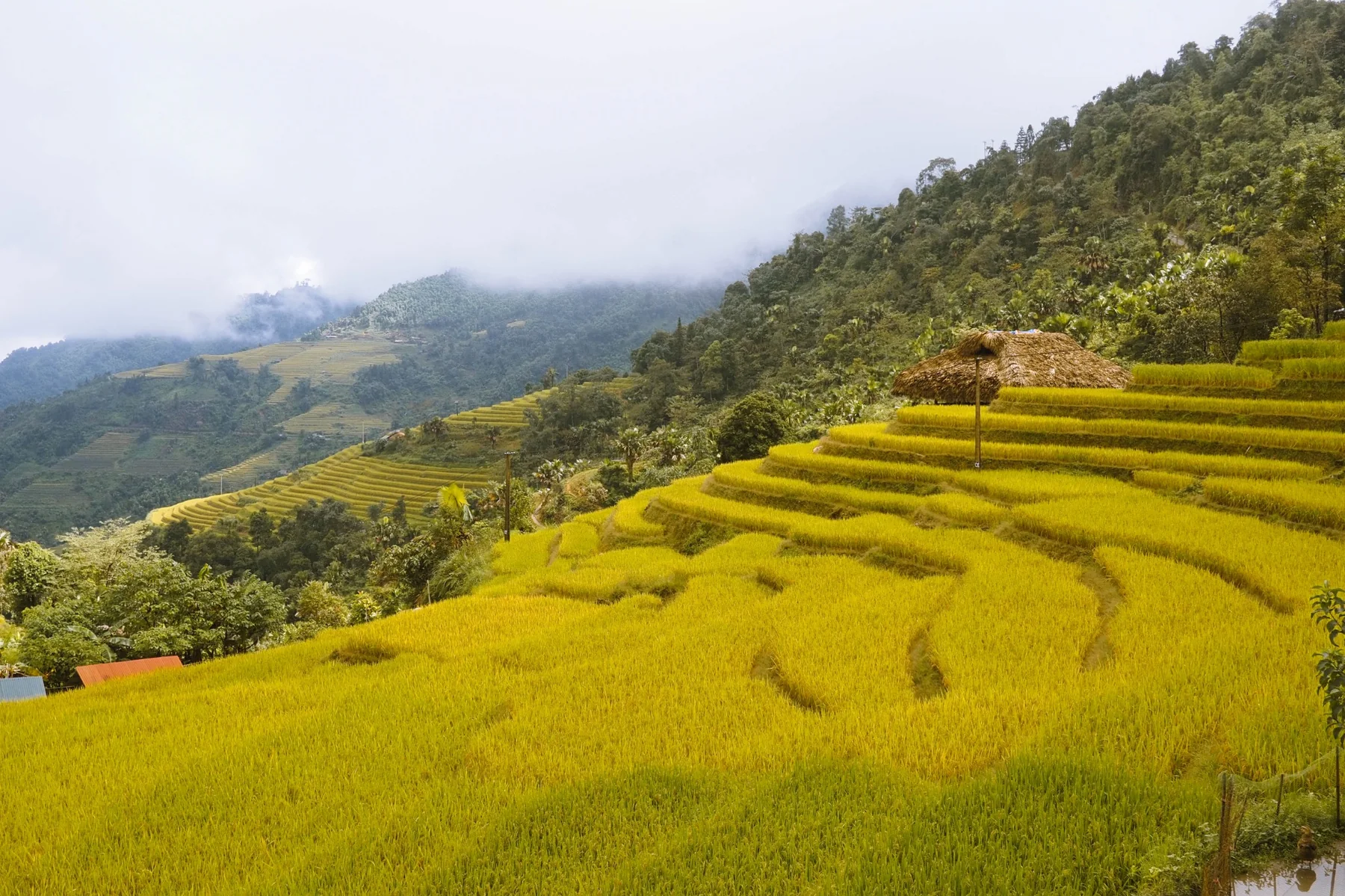 Làng Xà Phìn