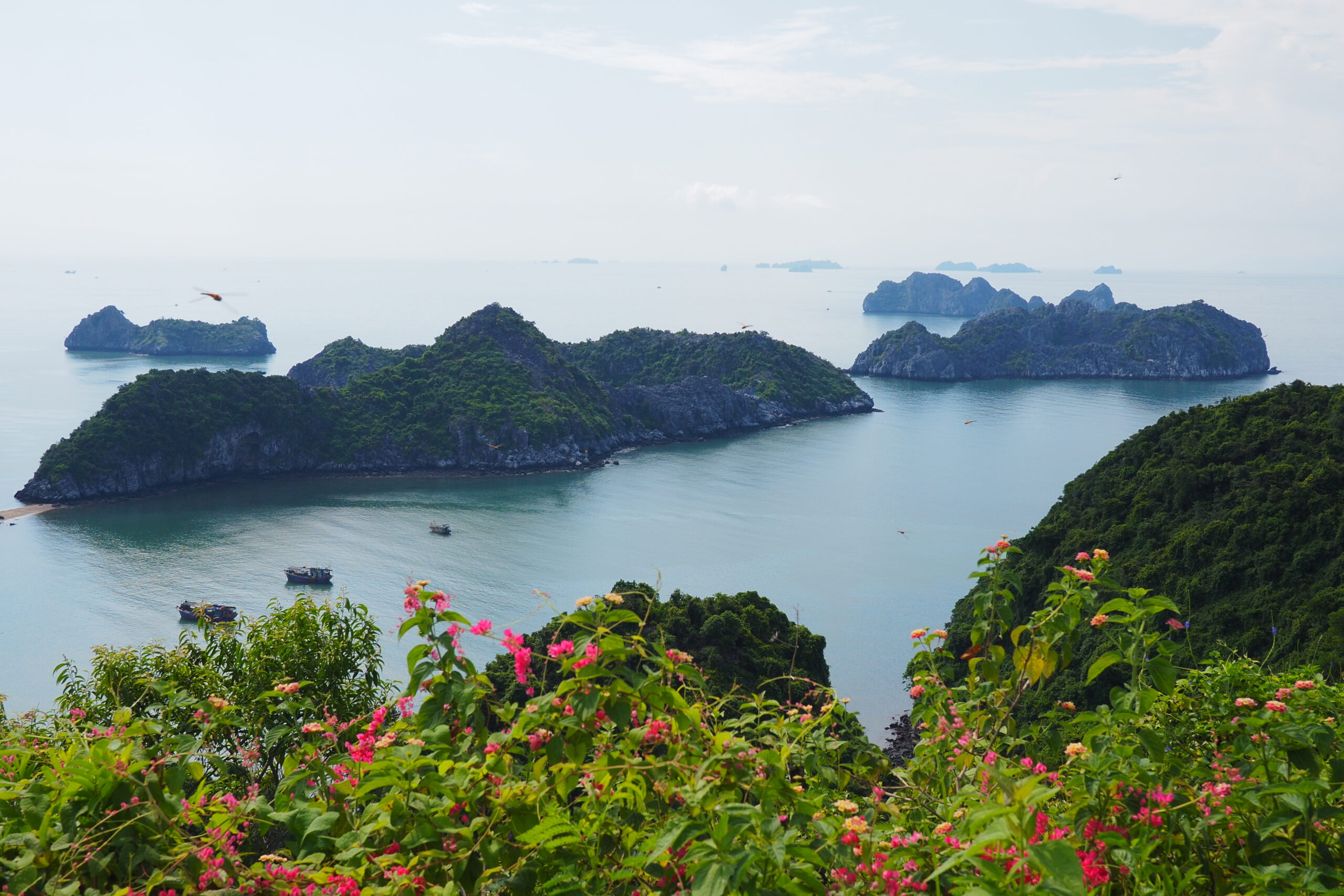 Island scenery around Cát Bà